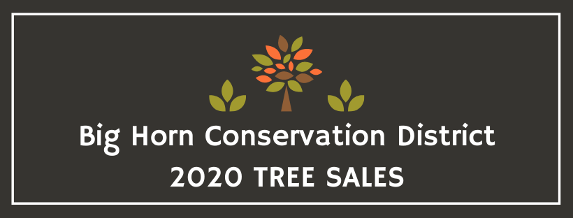 Tree Sales Banner